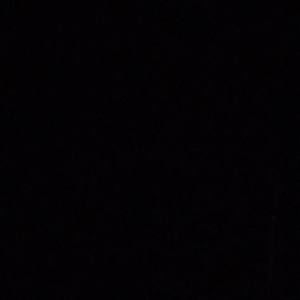 Meet your Posher, Tasha